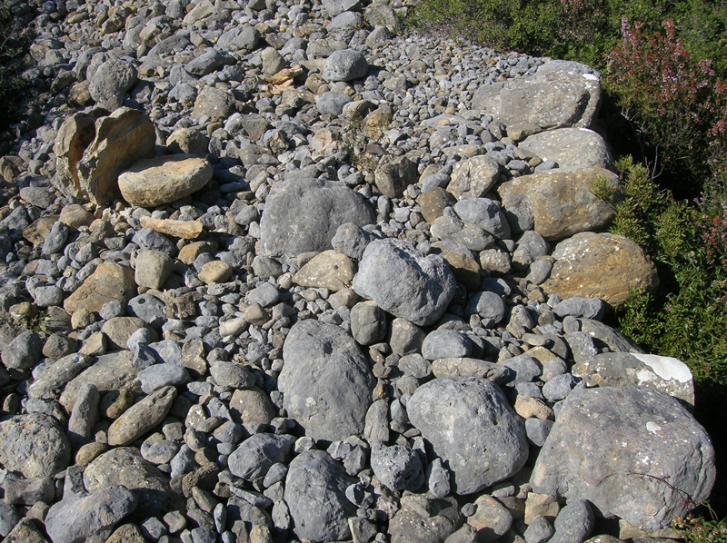 Dessus d'un pierrier o apparaissent les deux sortes de pierres : les galets de couleur gris-bleu et les galets de grs de couleur brune.