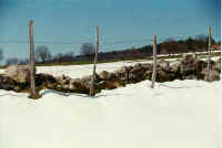 Montfaucon : restes de mur dans la neige (1995) © ASMPS-Suisse