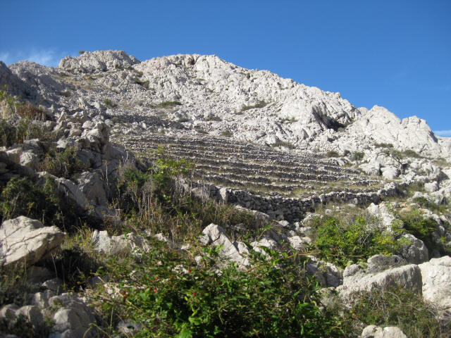 Baška, île de Krk (Croatie) : anciennes terrasses viticoles ménagées dans un enclos. Photo Sergio Gnesda.