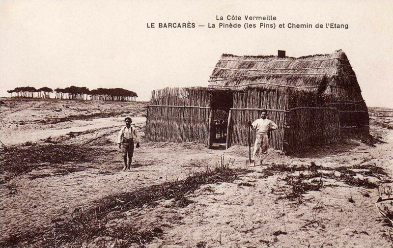 Cabane de pcheur au Barcars (Pyrnes-Orientales) sur le cheminde l'tang.