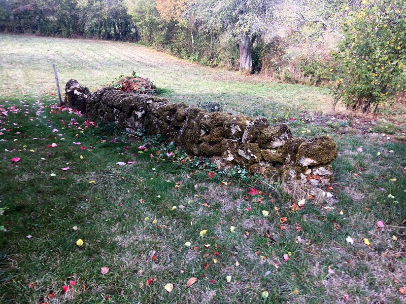Saint-Bonin-des-Bois, Nièvre : mur de clôture éboulé vu depuis l'amont